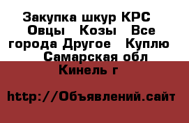 Закупка шкур КРС , Овцы , Козы - Все города Другое » Куплю   . Самарская обл.,Кинель г.